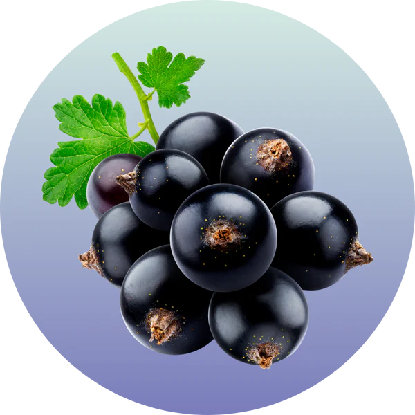 imagen ingredientes aceite grosella
