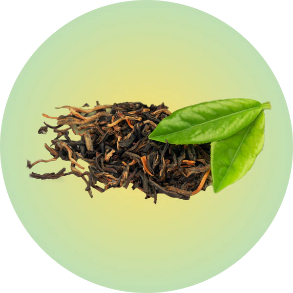 imagen ingredientes extracto te verde
