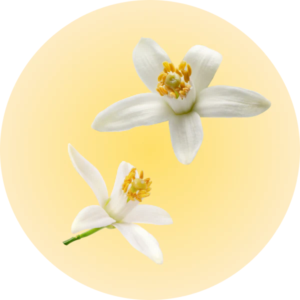 imagen ingredientes hidrolato flor naranja