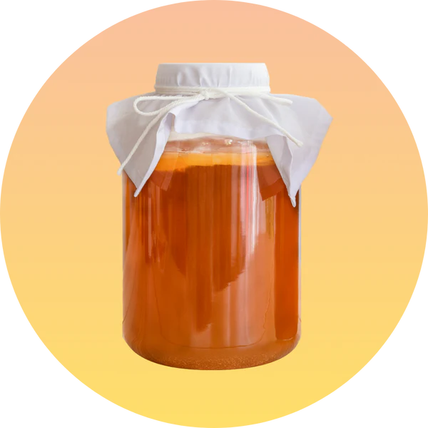 imagen ingredientes kombucha